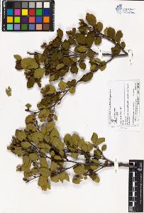 SW_BNB_s3070-05540_IMG-0000000001