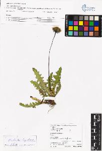 SW_BNB_s3070-05547_IMG-0000000001