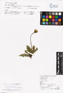 SW_BNB_s3070-05548_IMG-0000000001