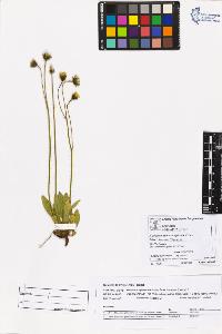 SW_BNB_s3070-05554_IMG-0000000001