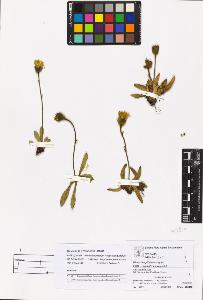SW_BNB_s3070-05559_IMG-0000000001