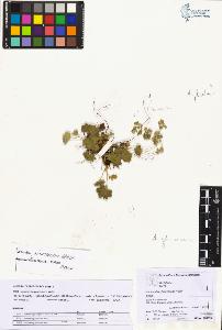 SW_BNB_s3070-05561_IMG-0000000001