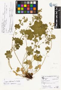 SW_BNB_s3070-05562_IMG-0000000001