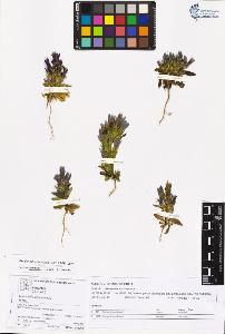 SW_BNB_s3070-05568_IMG-0000000001