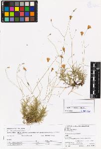 SW_BNB_s3070-05572_IMG-0000000001