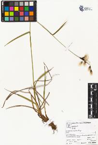 SW_BNB_s3070-05575_IMG-0000000001