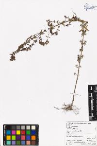 SW_BNB_s3070-05581_IMG-0000000001