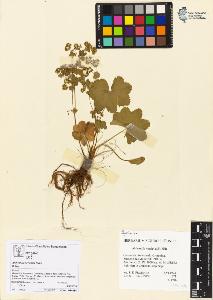 SW_BNB_s3070-05587_IMG-0000000001