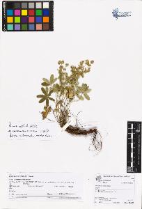 SW_BNB_s3070-05589_IMG-0000000001