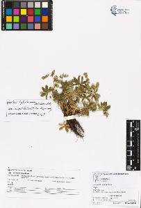 SW_BNB_s3070-05590_IMG-0000000001