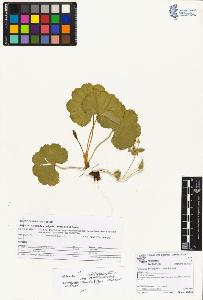 SW_BNB_s3070-05591_IMG-0000000001