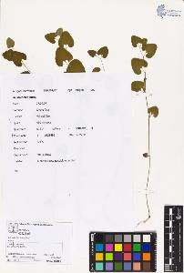 SW_BNB_s3070-05593_IMG-0000000001