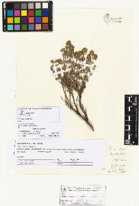 SW_BNB_s3070-05595_IMG-0000000001