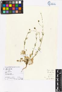 SW_BNB_s3070-05597_IMG-0000000001