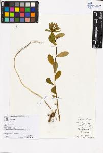 SW_BNB_s3070-05601_IMG-0000000001