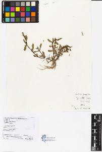 SW_BNB_s3070-05608_IMG-0000000001