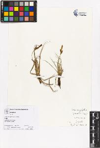 SW_BNB_s3070-05609_IMG-0000000001