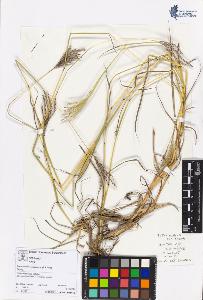 SW_BNB_s3070-05613_IMG-0000000001