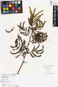 SW_BNB_s3070-05617_IMG-0000000001