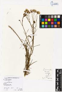 SW_BNB_s3070-05619_IMG-0000000001