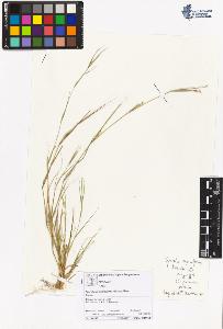 SW_BNB_s3070-05622_IMG-0000000001