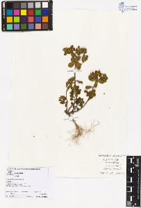 SW_BNB_s3070-05626_IMG-0000000001