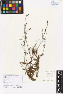 SW_BNB_s3070-05628_IMG-0000000001