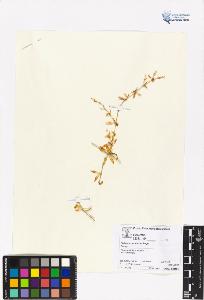 SW_BNB_s3070-05629_IMG-0000000001