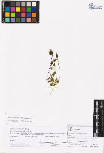 SW_BNB_s3070-05630_IMG-0000000001