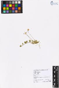 SW_BNB_s3070-05631_IMG-0000000001