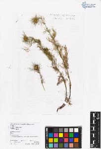 SW_BNB_s3070-05632_IMG-0000000001