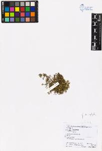 SW_BNB_s3070-05634_IMG-0000000001