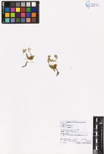 SW_BNB_s3070-05636_IMG-0000000001