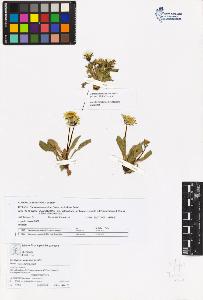 SW_BNB_s3070-05637_IMG-0000000001