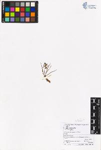 SW_BNB_s3070-05641_IMG-0000000001
