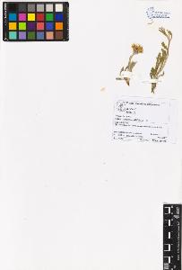 SW_BNB_s3070-05643_IMG-0000000001