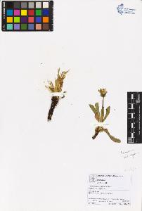 SW_BNB_s3070-05644_IMG-0000000001