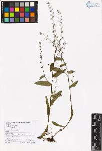 SW_BNB_s3070-05646_IMG-0000000001