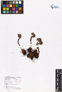 SW_BNB_s3070-05647_IMG-0000000001