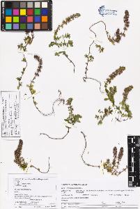SW_BNB_s3070-05649_IMG-0000000001