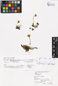 SW_BNB_s3070-05654_IMG-0000000001