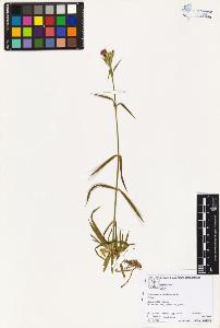 SW_BNB_s3070-05659_IMG-0000000001