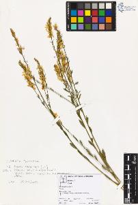 SW_BNB_s3070-05667_IMG-0000000001