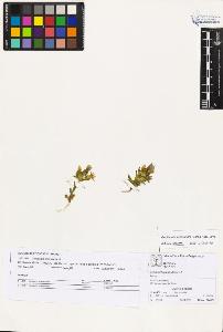 SW_BNB_s3070-05668_IMG-0000000001