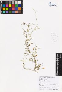 SW_BNB_s3070-05677_IMG-0000000001