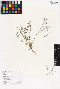 SW_BNB_s3070-05682_IMG-0000000001