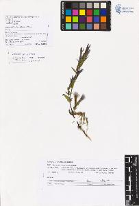 SW_BNB_s3070-05683_IMG-0000000001