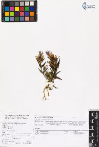 SW_BNB_s3070-05684_IMG-0000000001
