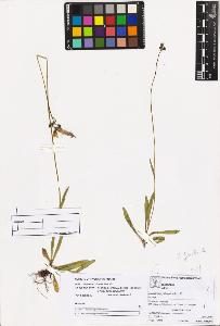 SW_BNB_s3070-05685_IMG-0000000001