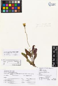SW_BNB_s3070-05686_IMG-0000000001